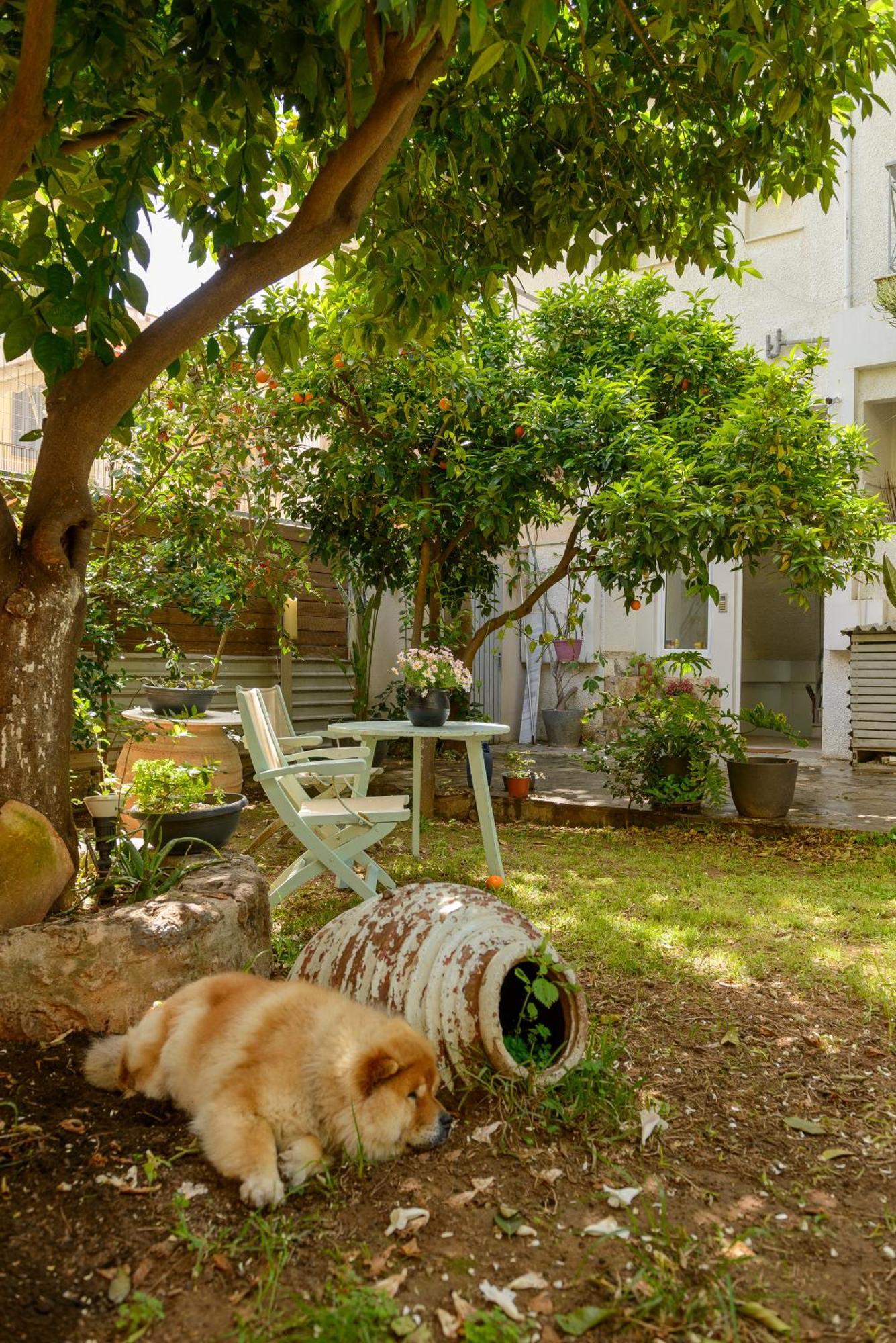 Agali 1 Superior Maisonette กาลามาตา ภายนอก รูปภาพ